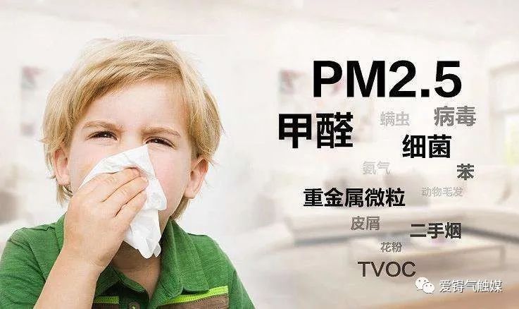 爱锝研究院官网 爱锝研究院官网